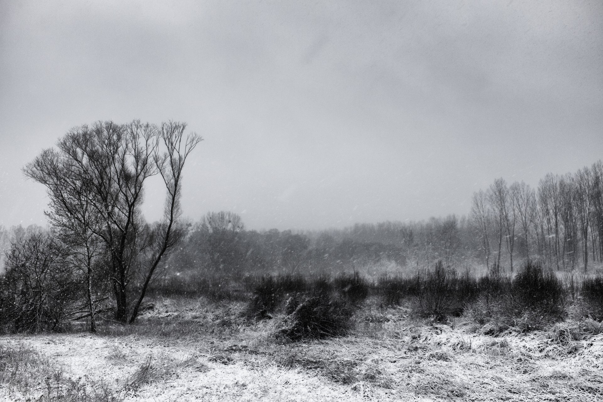 winter landscape slovakia free photo