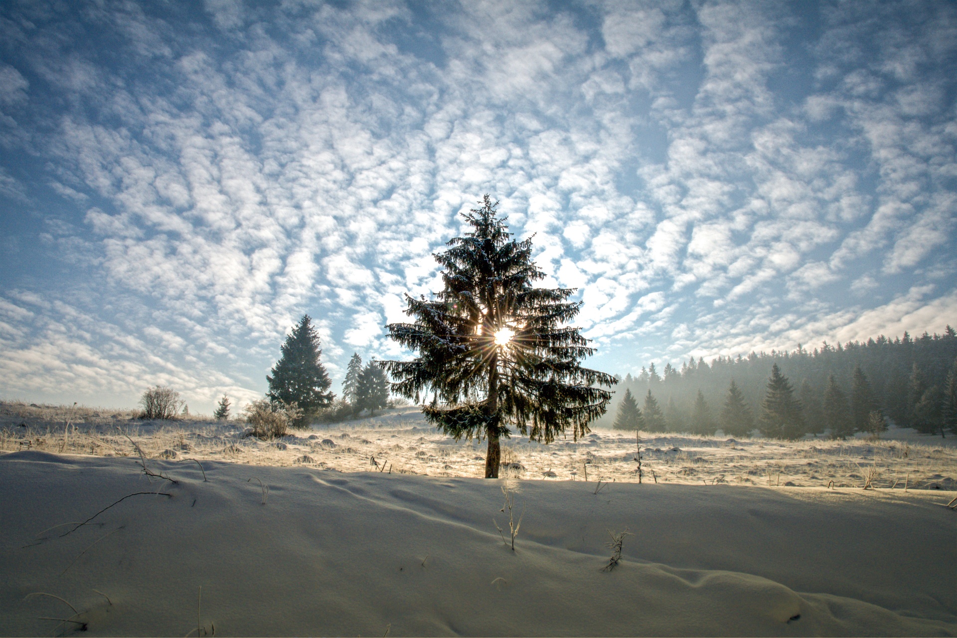 beautiful landscape winter free photo