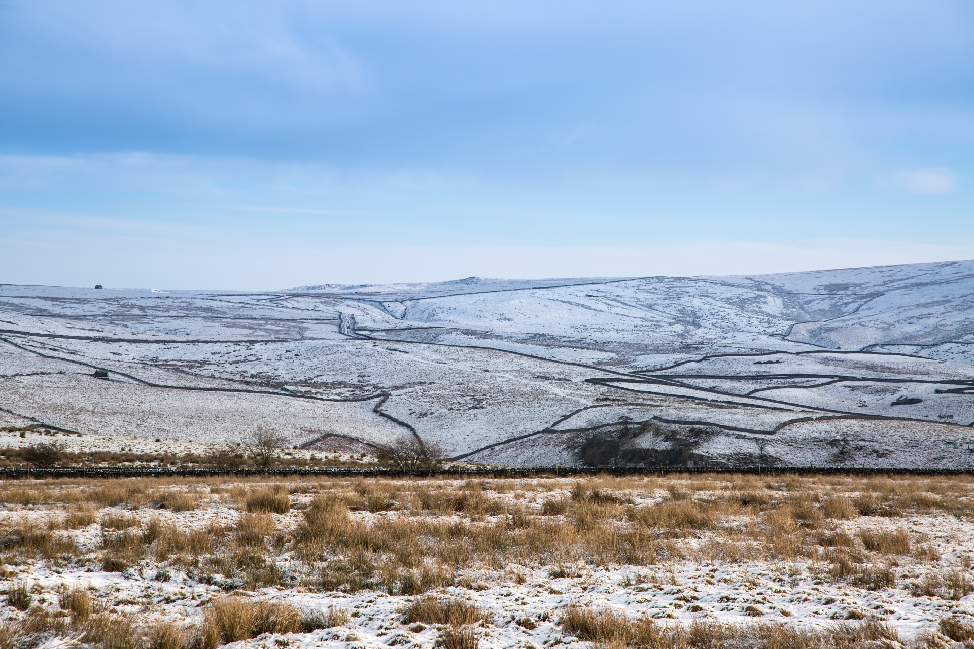 winter seasons snowy free photo