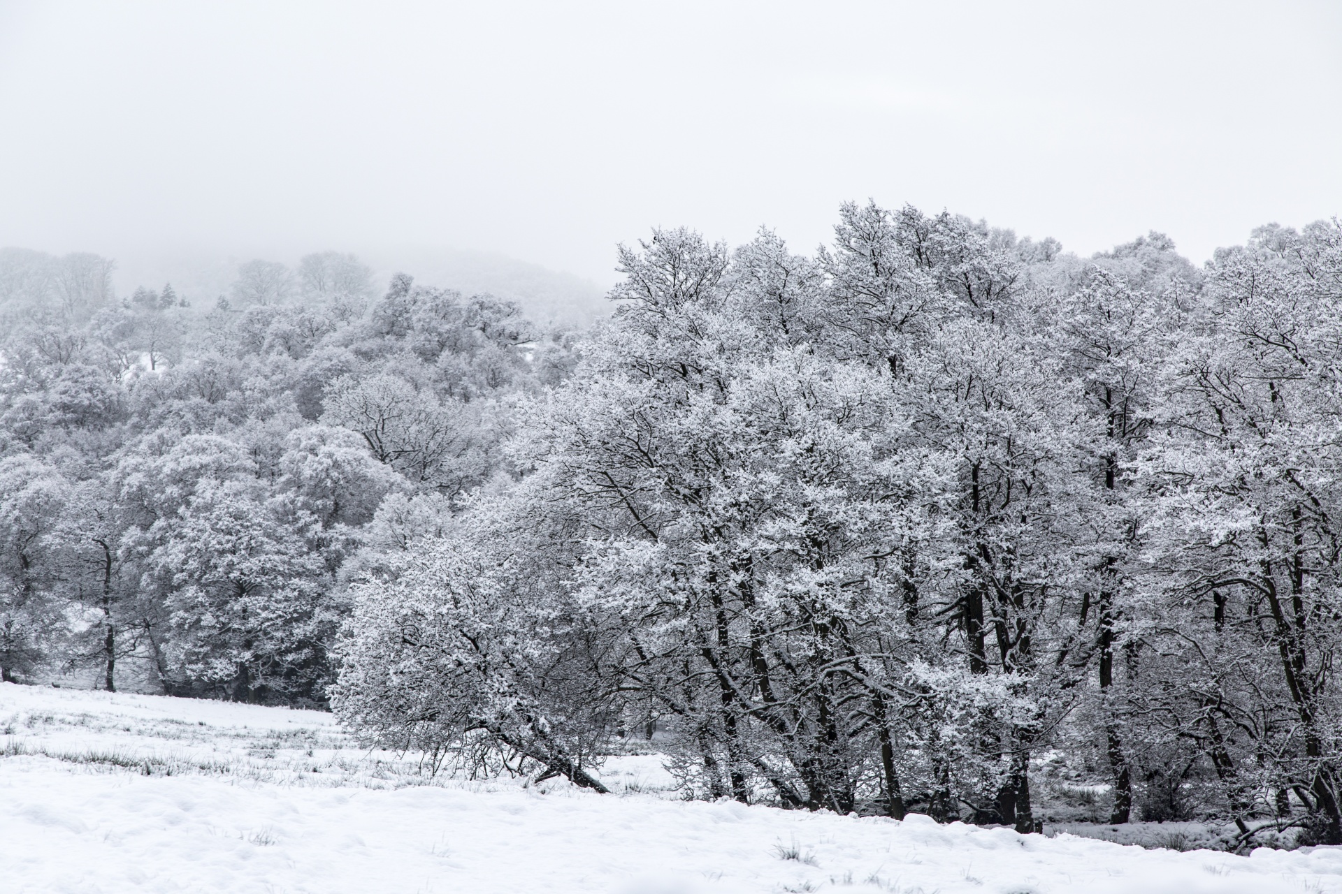 winter farm yorkshire free photo