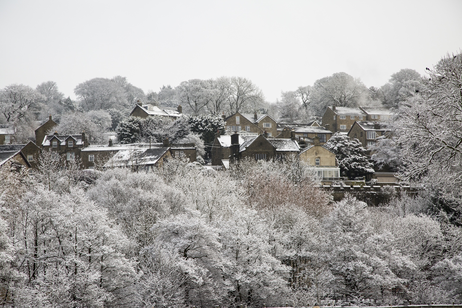 winter farm yorkshire free photo