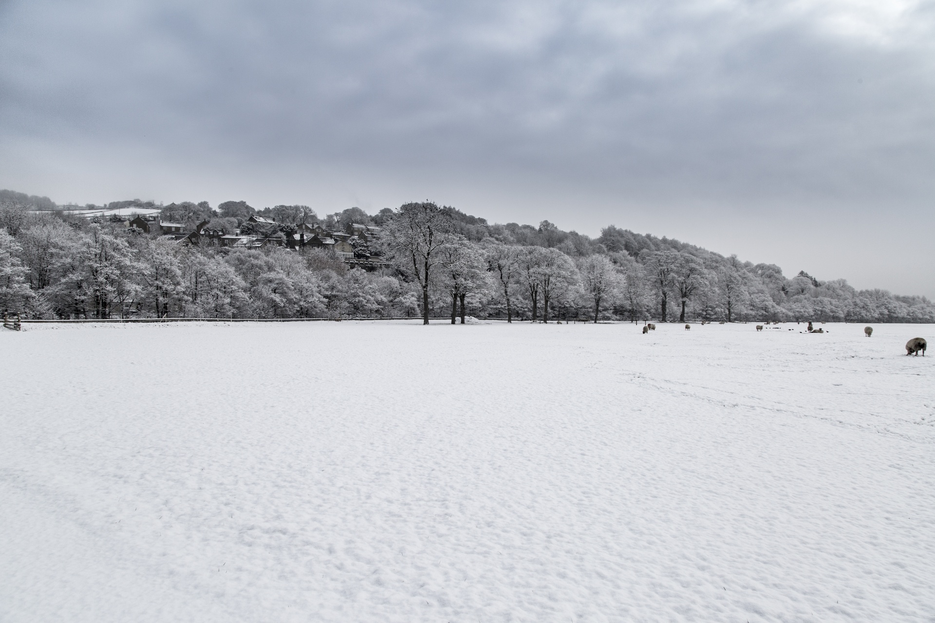 winter farm yorkshire free photo