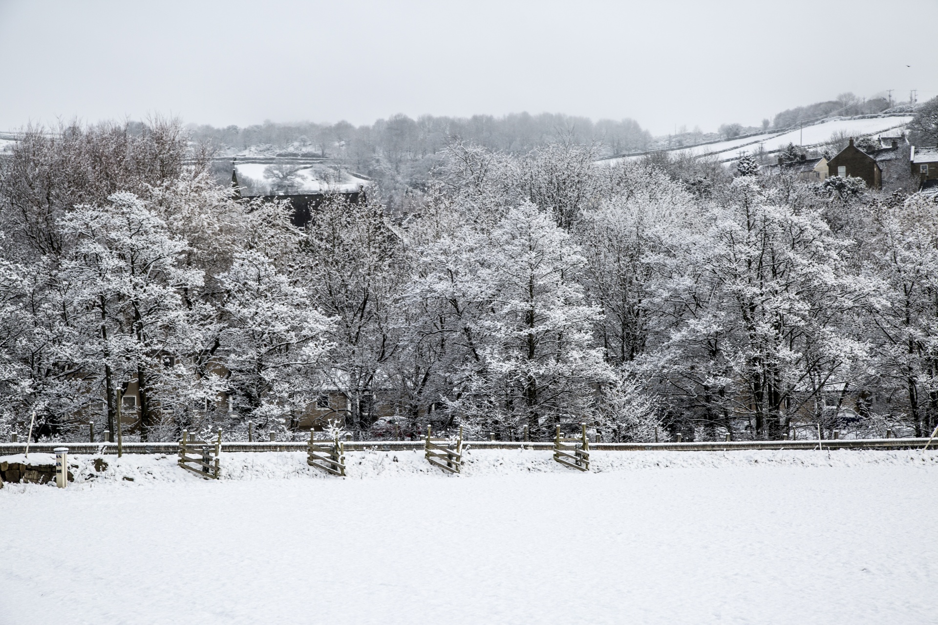 winter farm yorkshire free photo