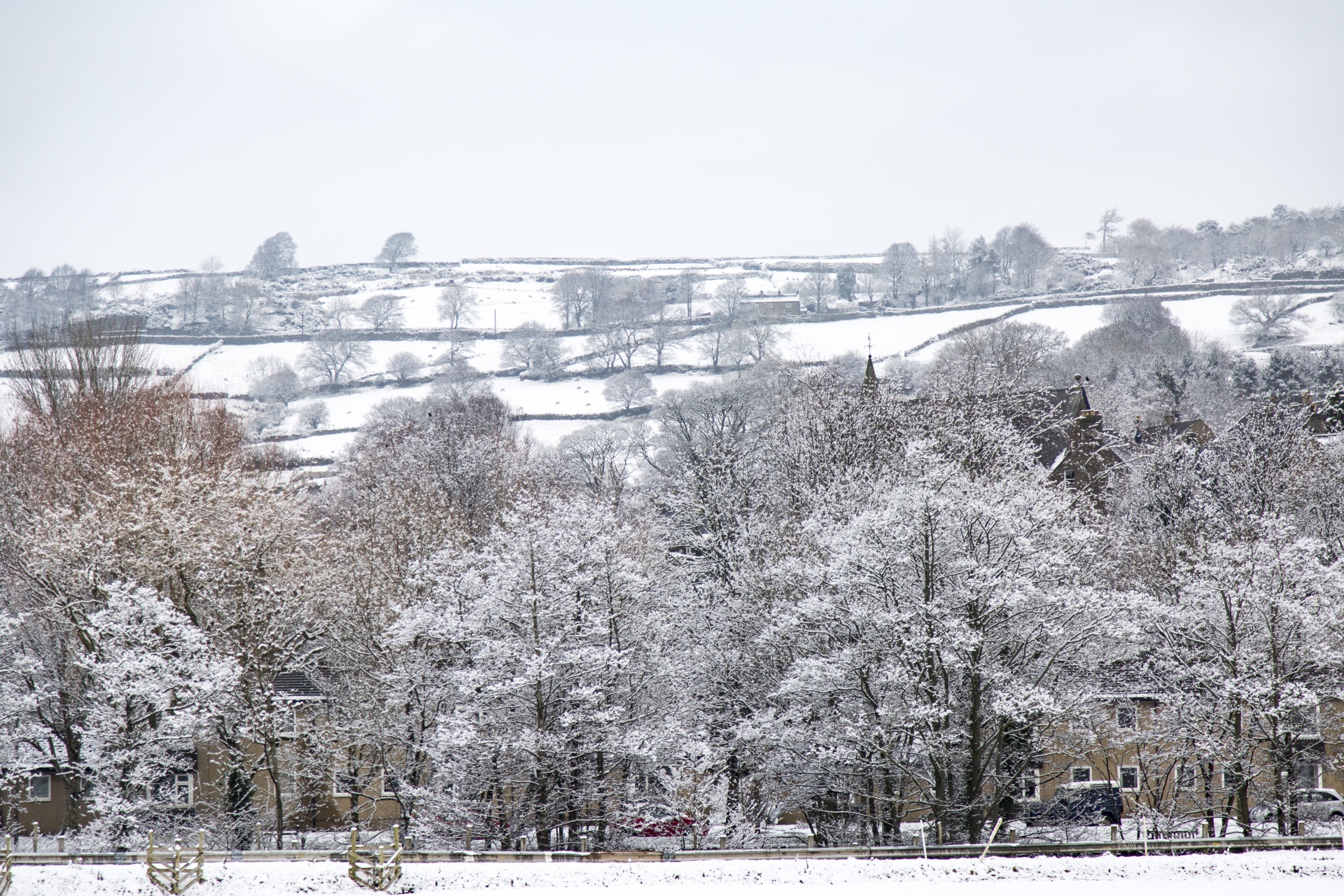 winter farm yorkshire free photo