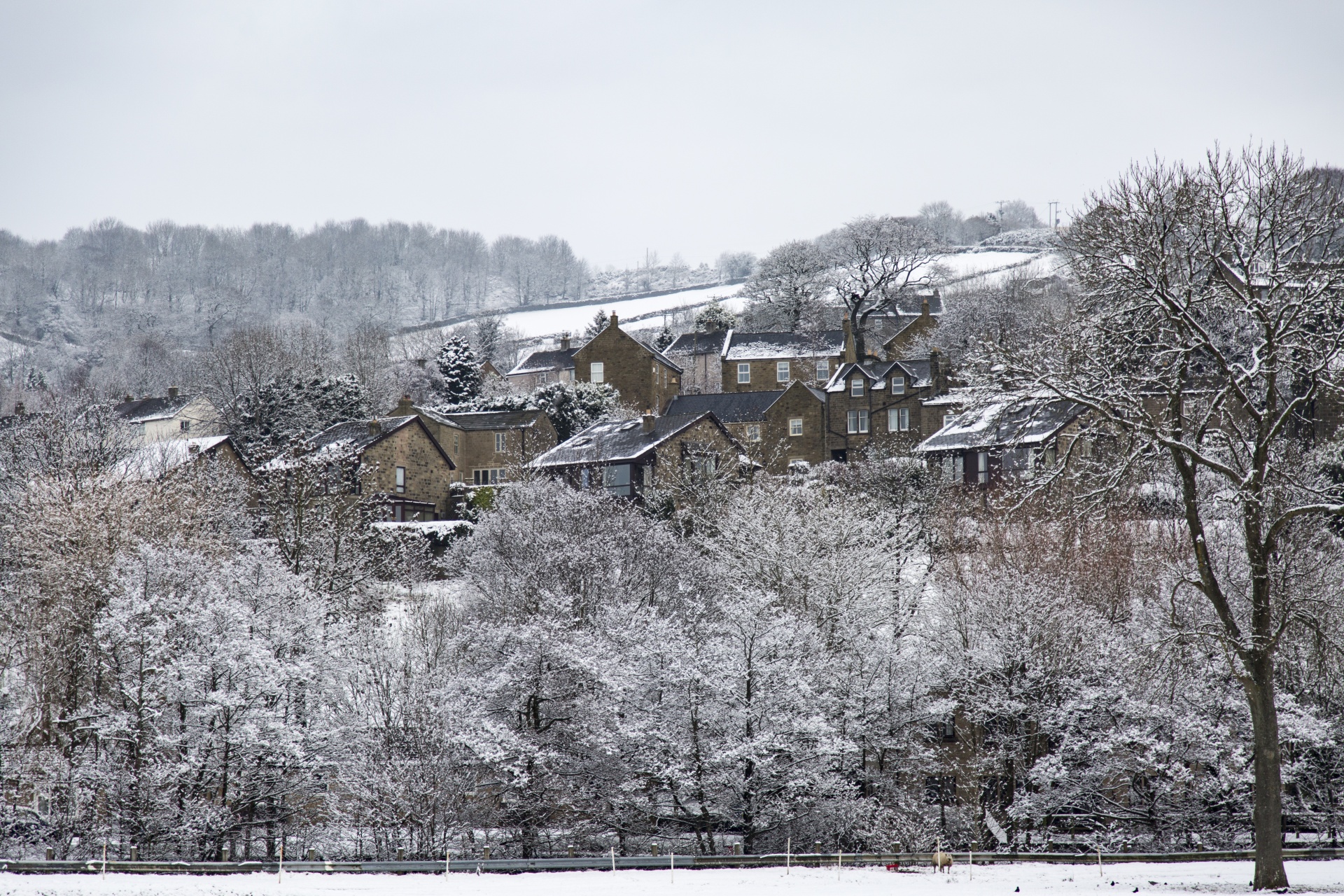 winter farm yorkshire free photo