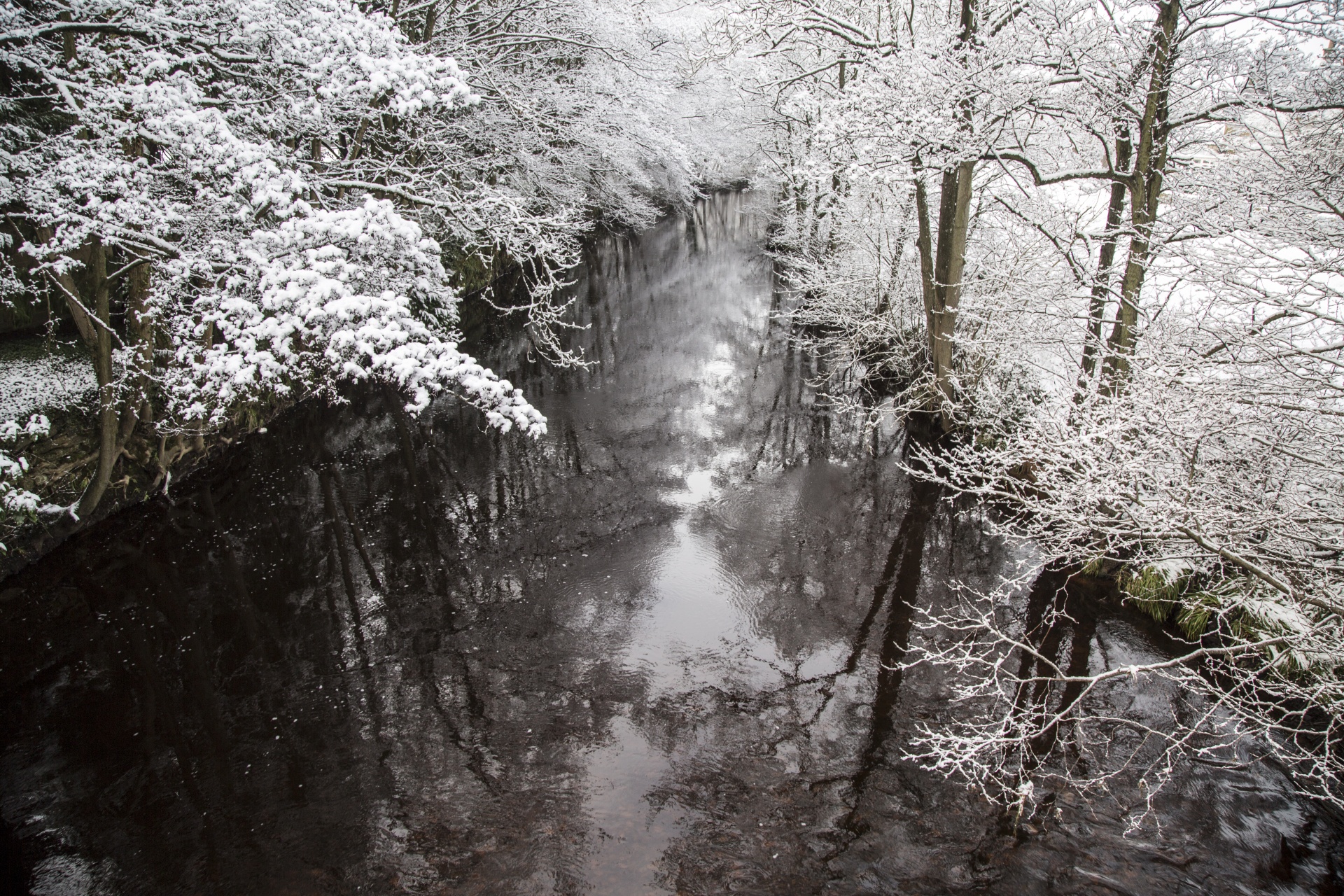 winter farm yorkshire free photo