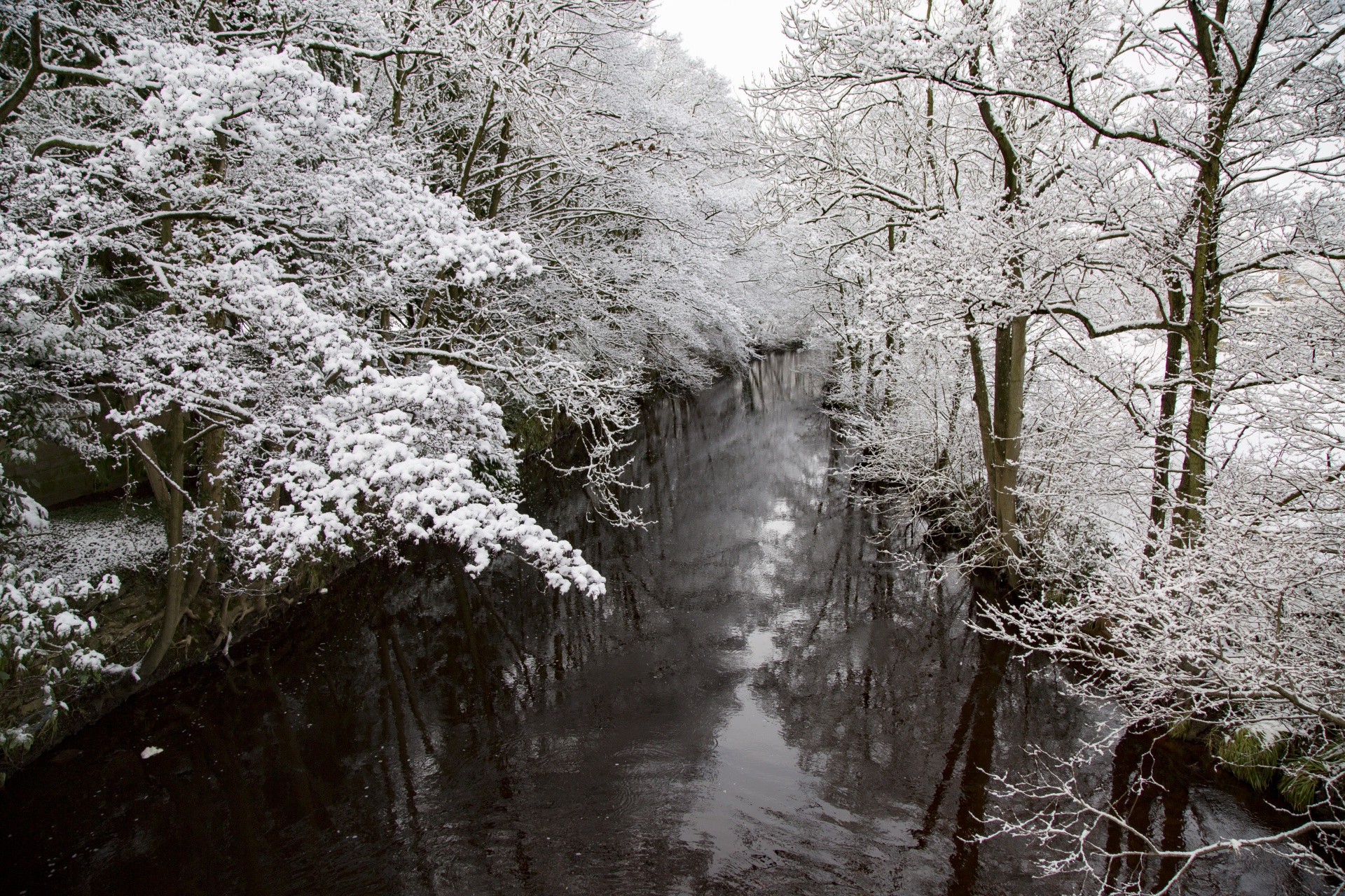 winter farm yorkshire free photo