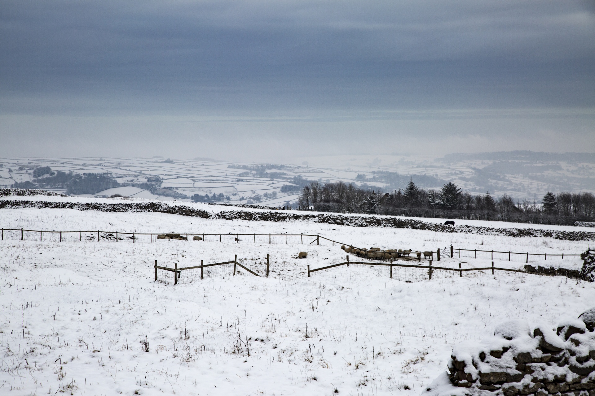 winter farm yorkshire free photo