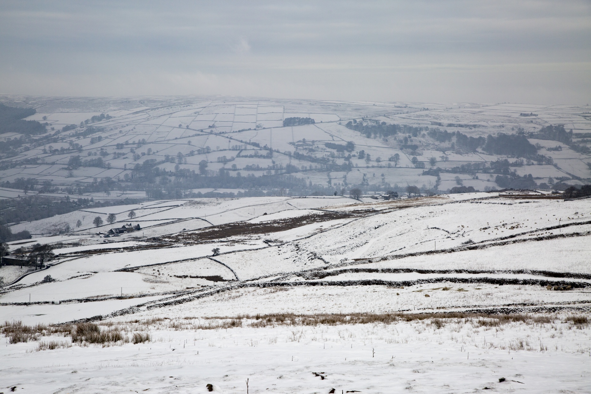 winter farm yorkshire free photo