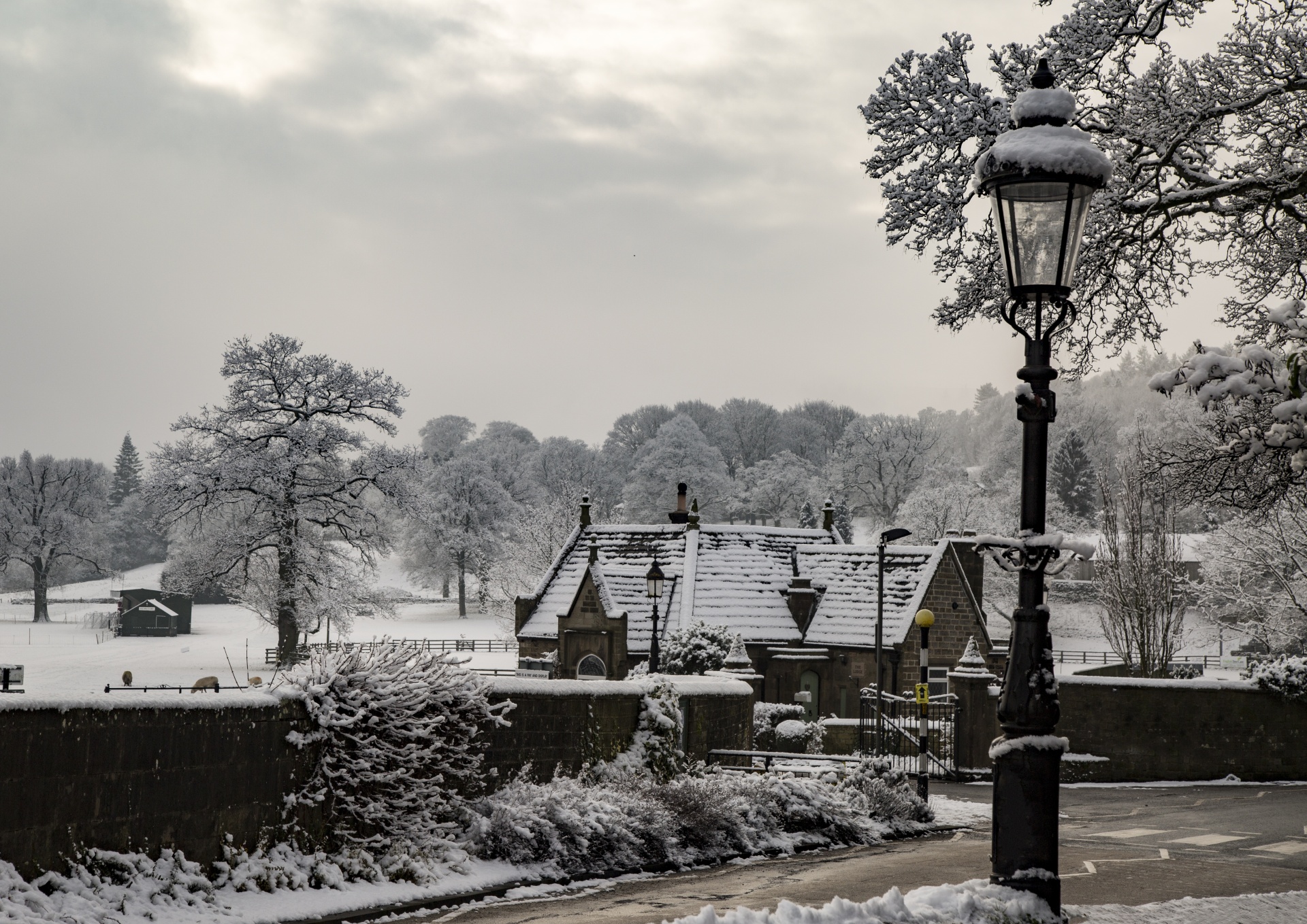 winter farm yorkshire free photo