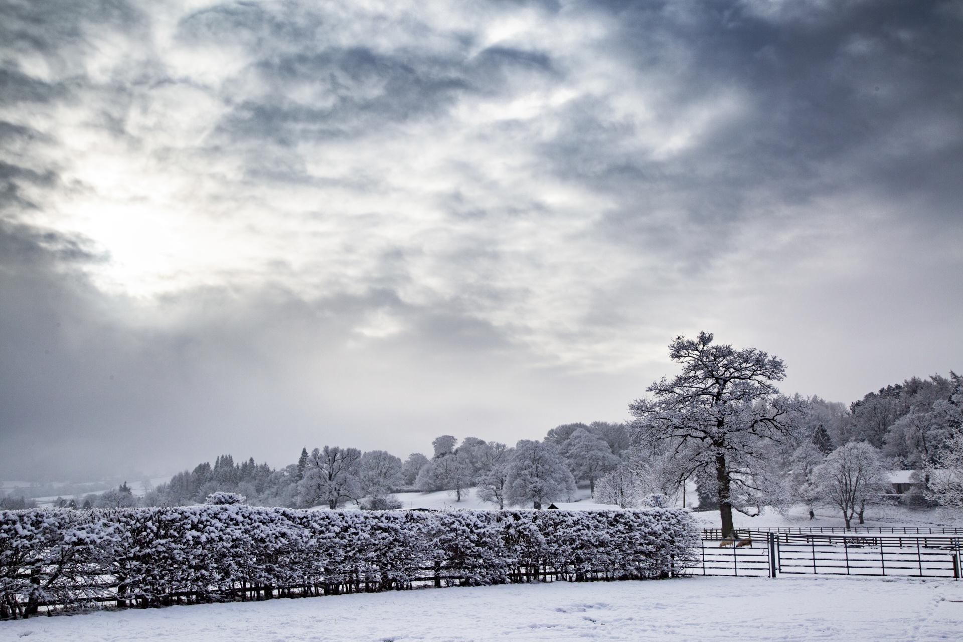 winter farm yorkshire free photo