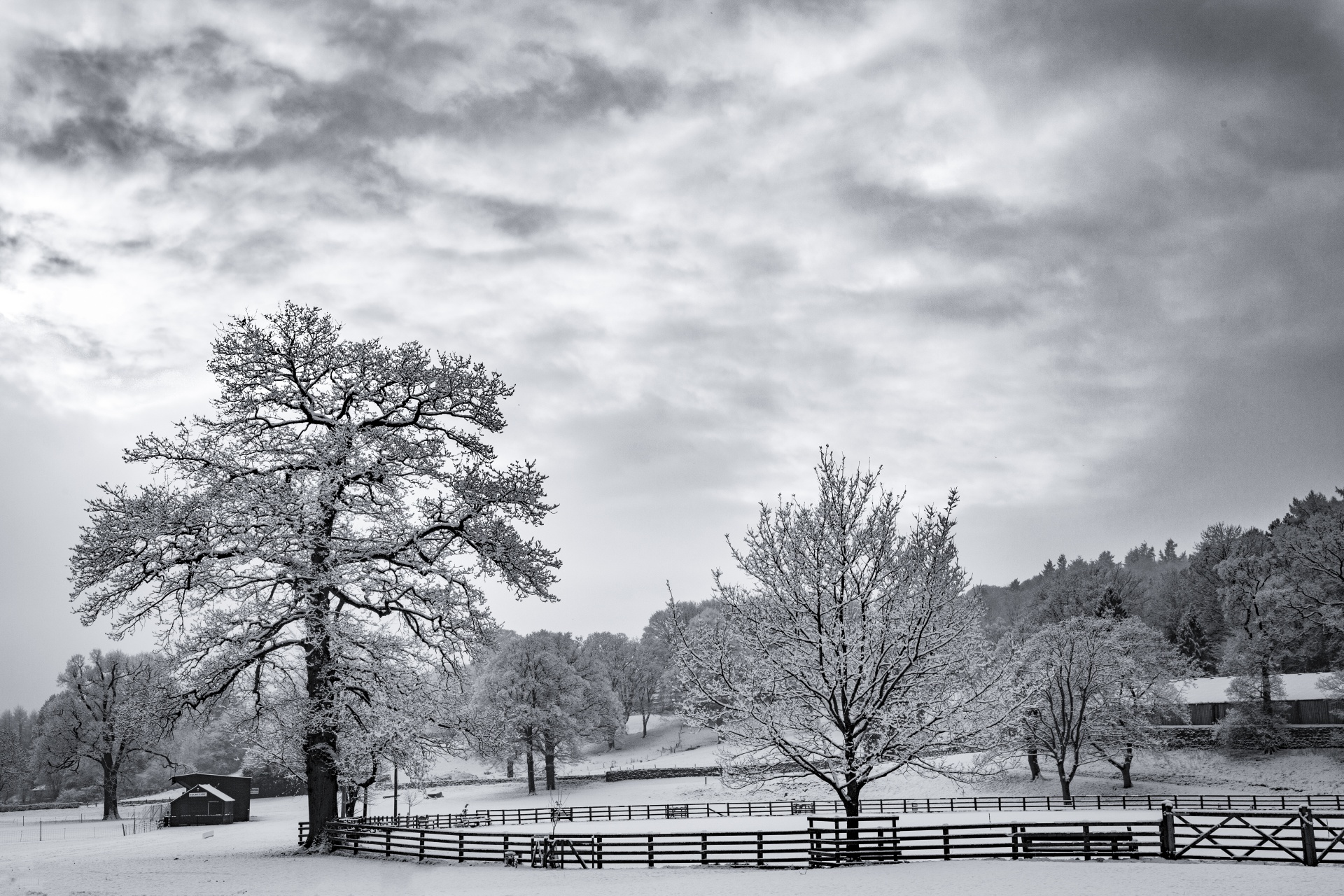 winter farm yorkshire free photo