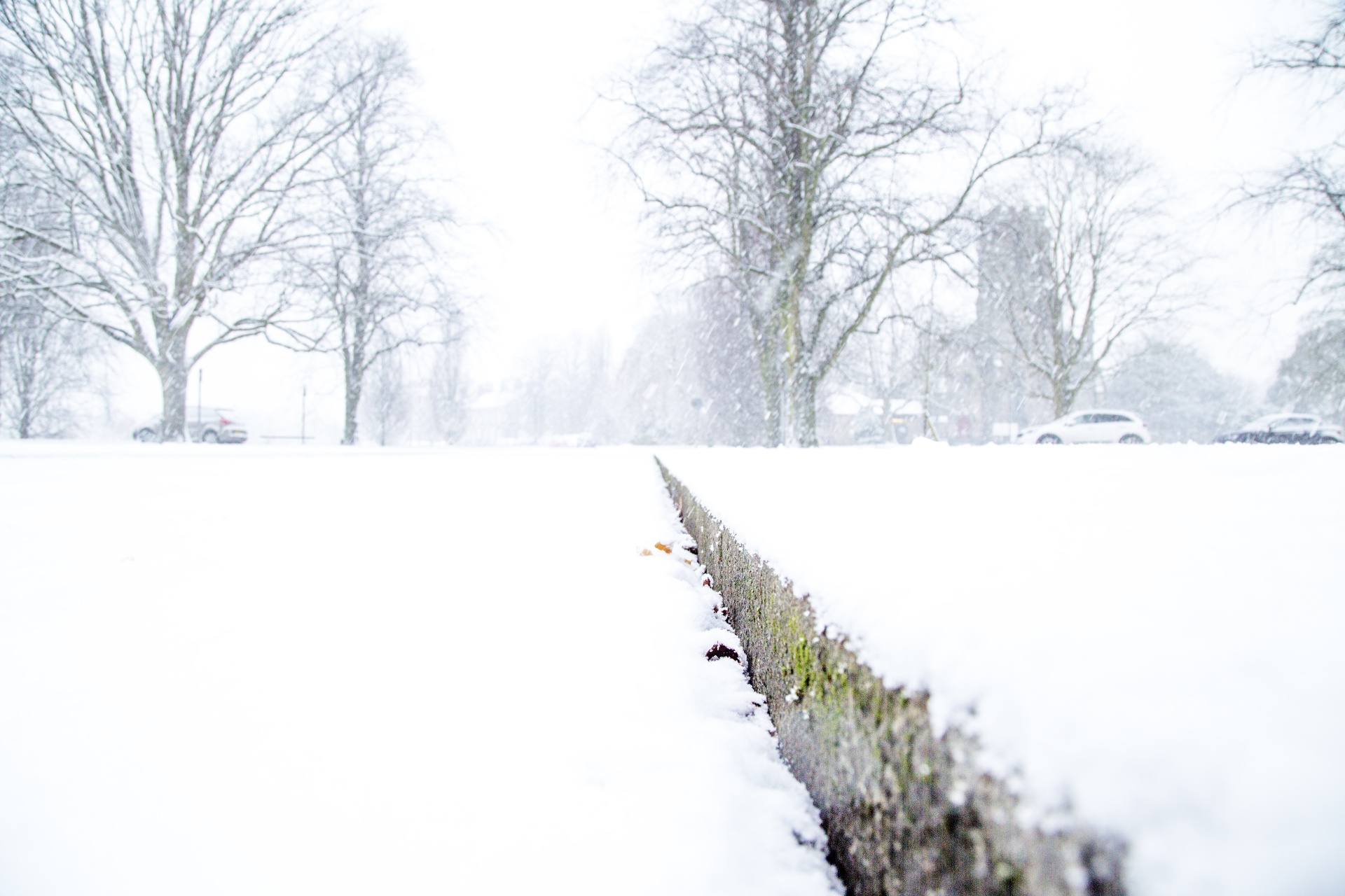 winter landscape snow free photo