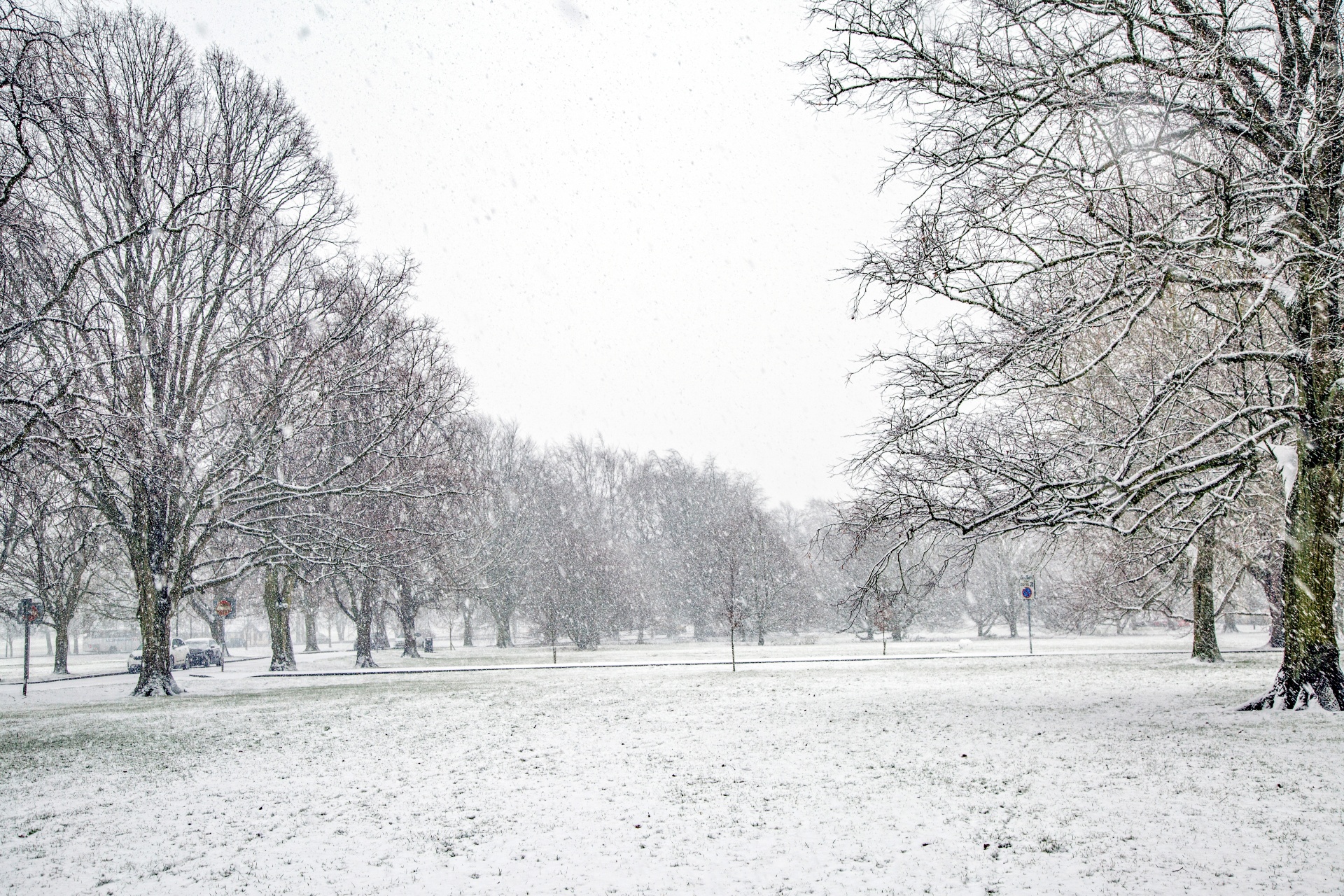 winter landscape snow free photo