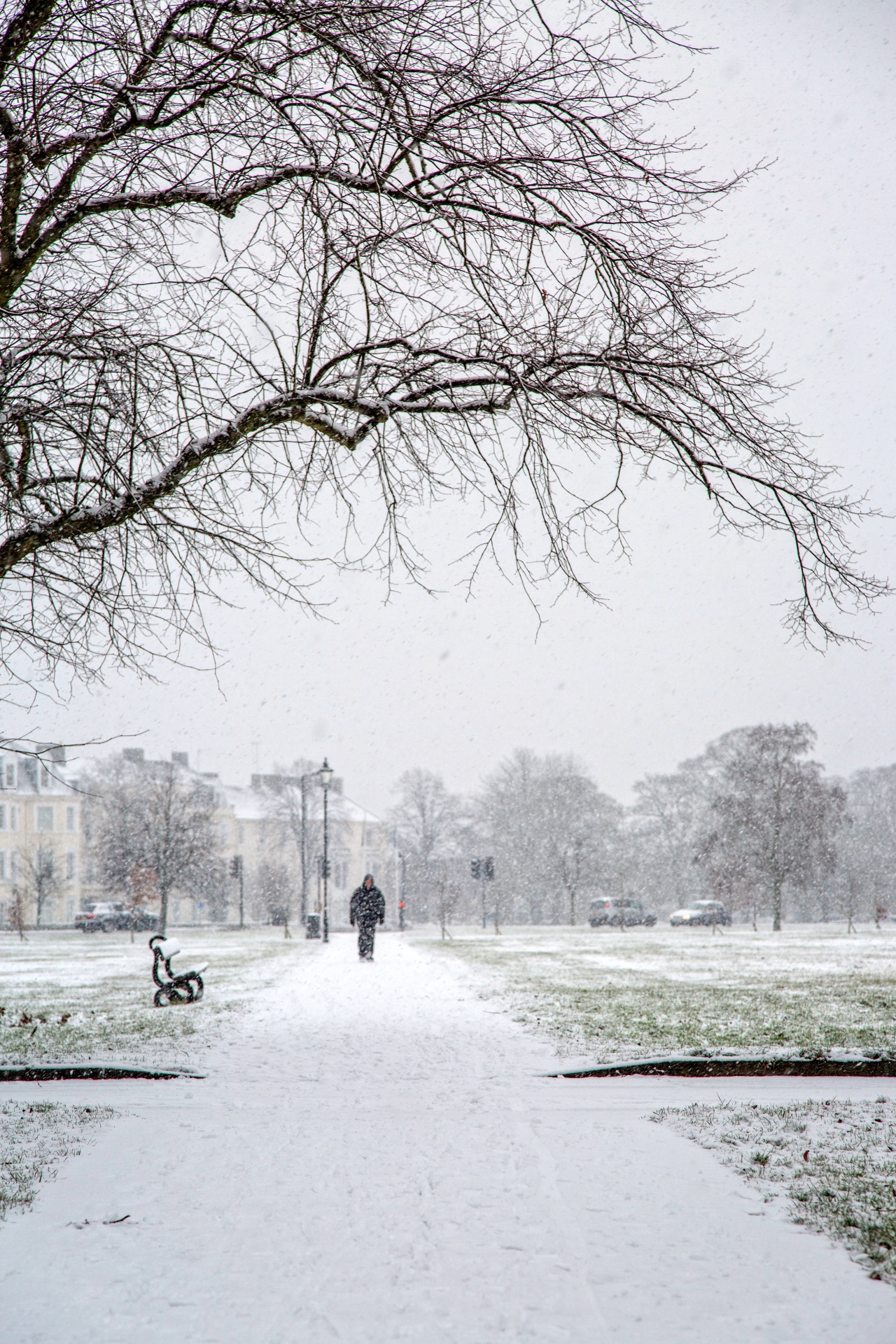 winter landscape snow free photo