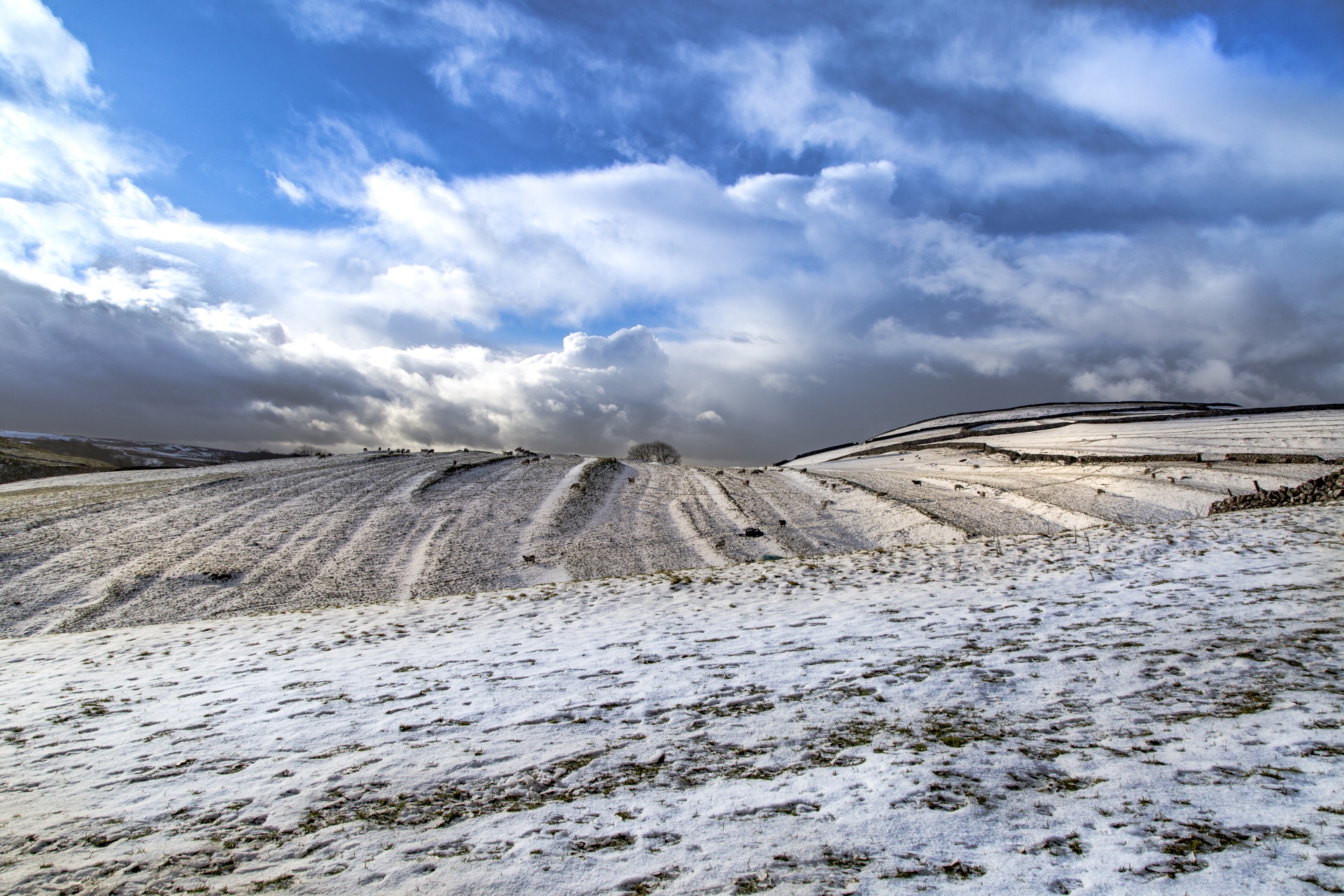 winter landscape snow free photo