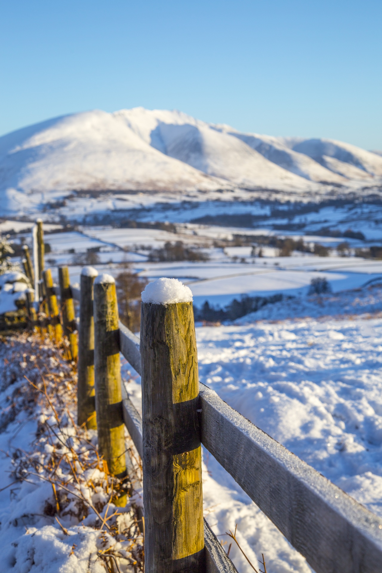 winter landscape snow free photo