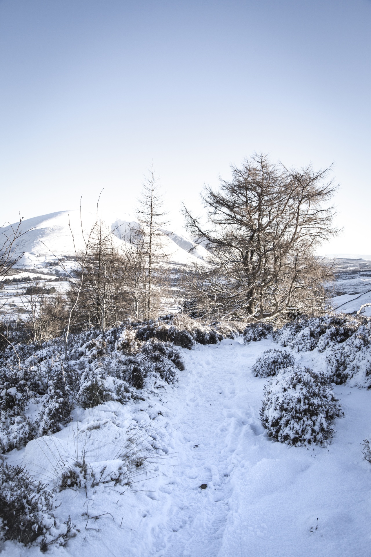 winter landscape snow free photo