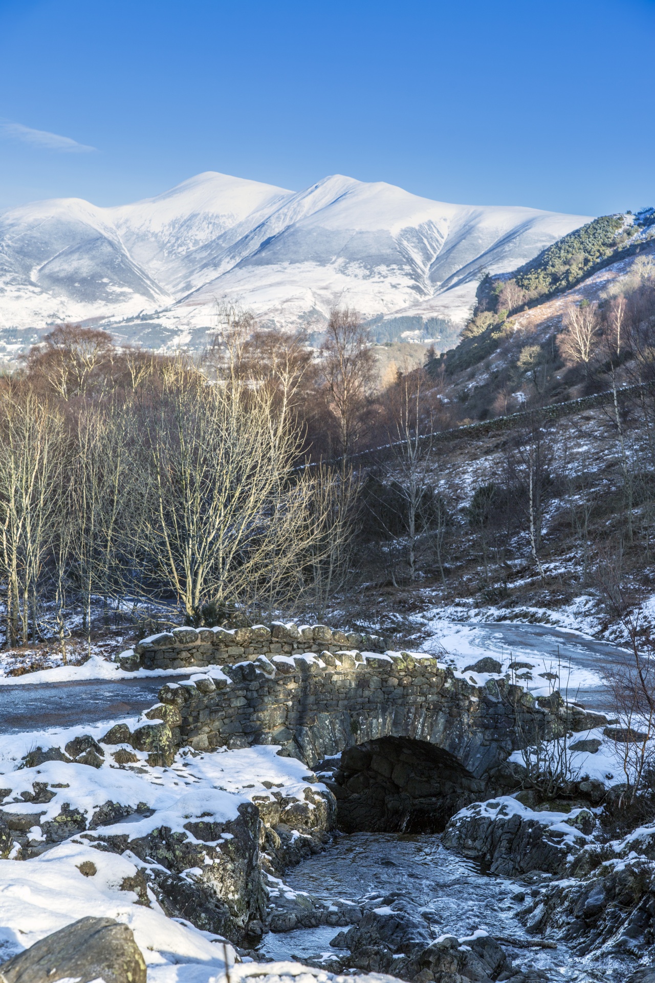 winter landscape snow free photo