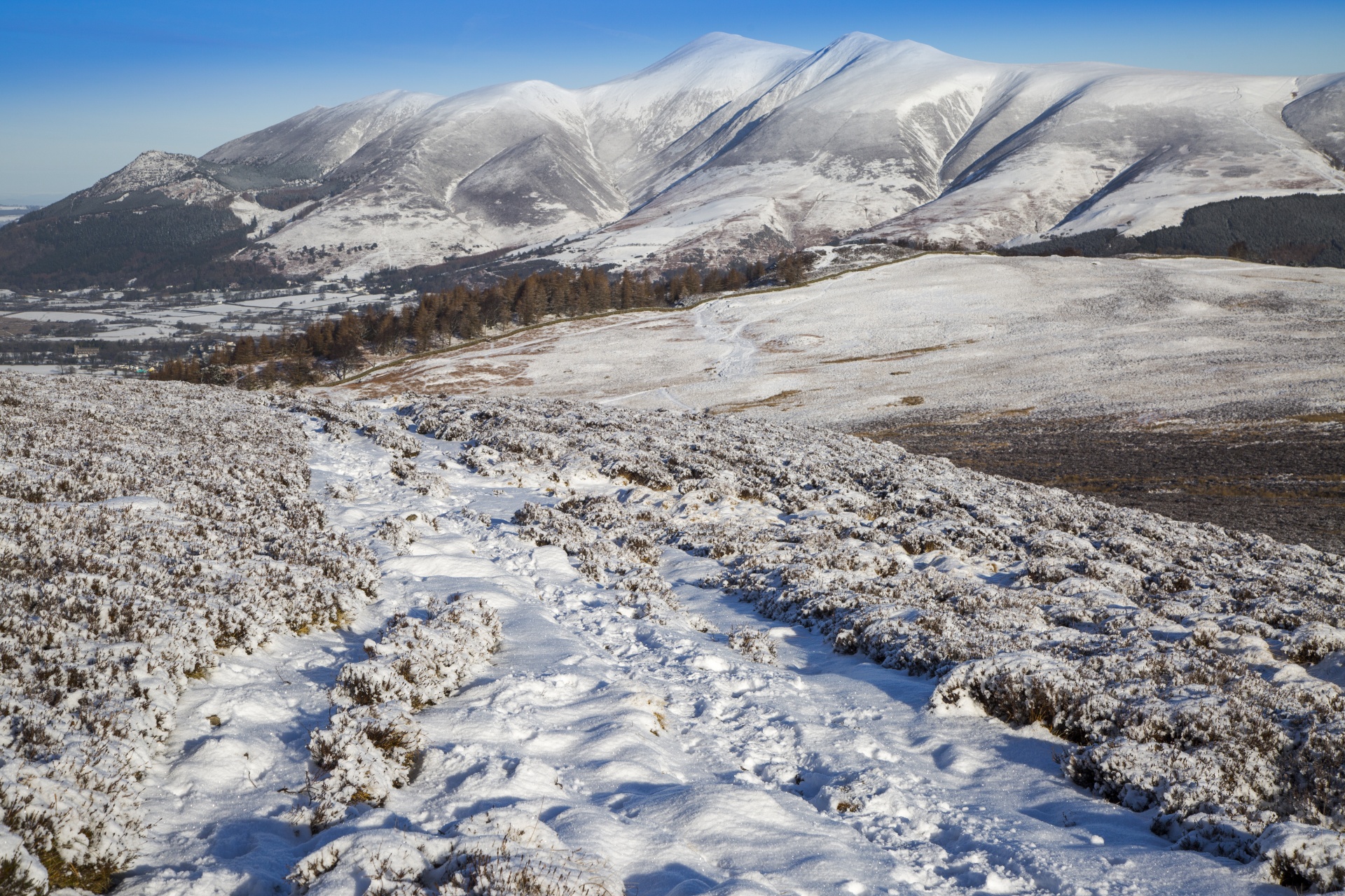 winter landscape snow free photo