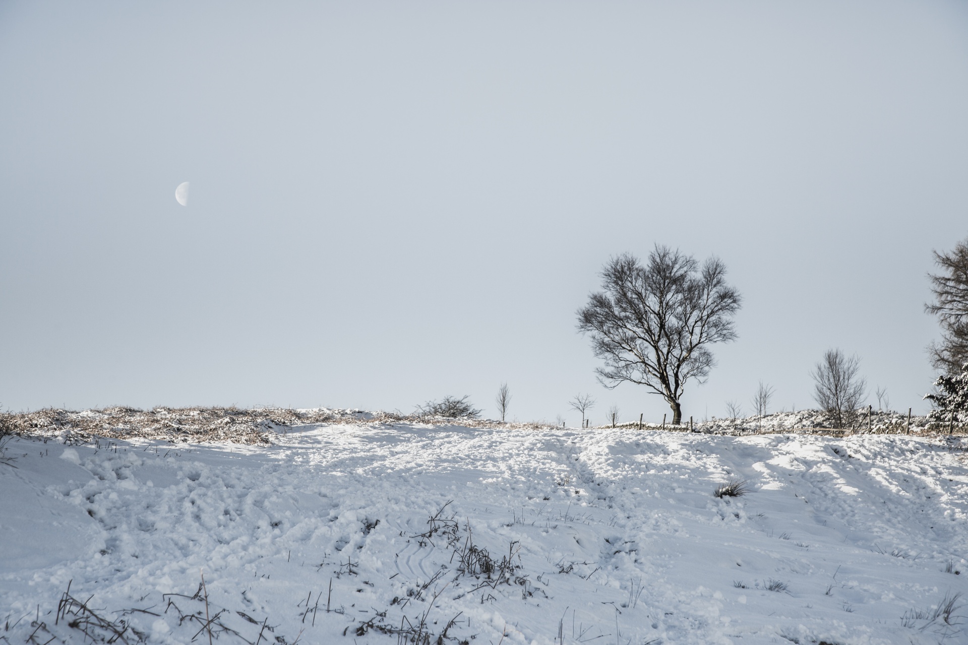 winter landscape snow free photo