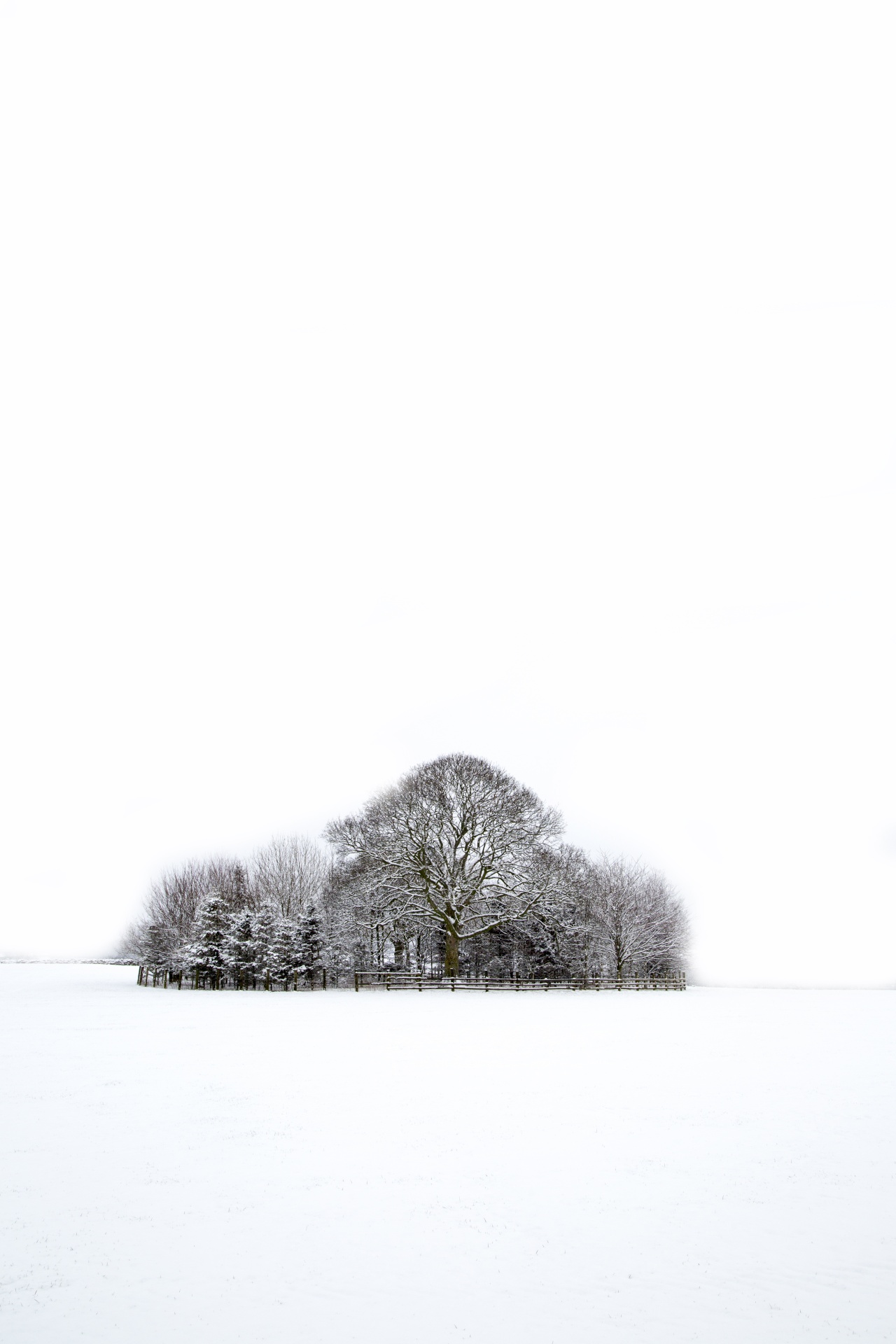 winter landscape snow free photo