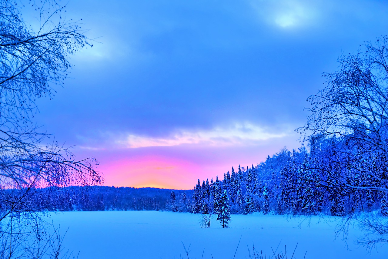 winter landscape snow forest free photo