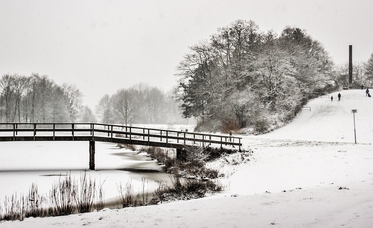 winter landscape snow nature free photo