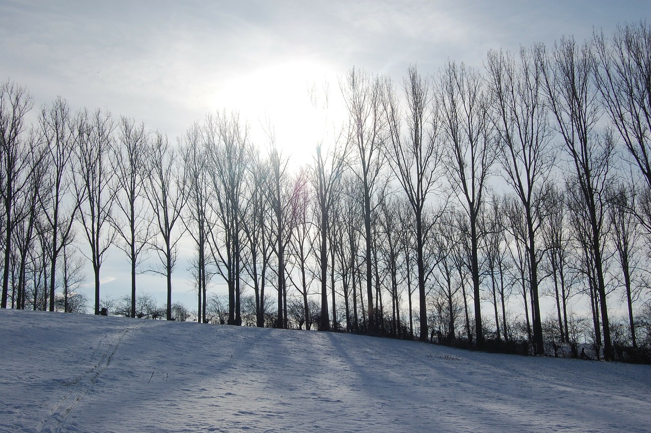 winter landscape snow nature free photo