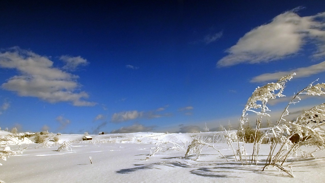 winter landscape cold frost free photo