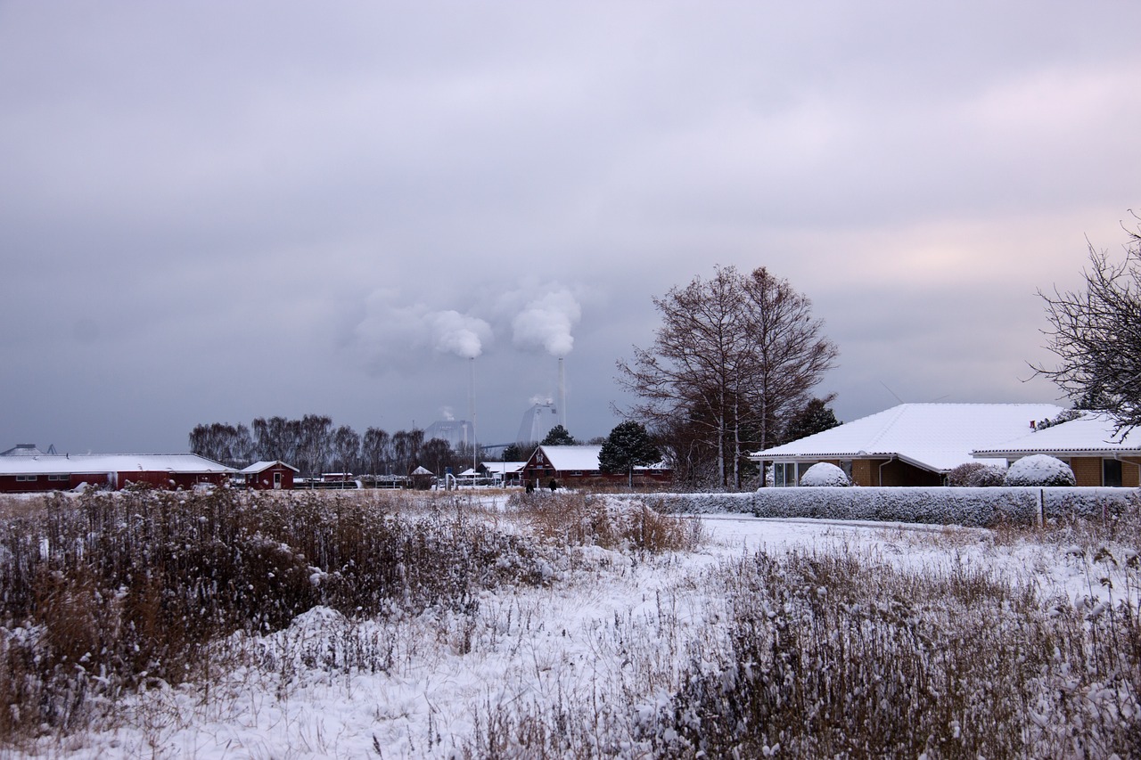 winter landscape winter snow free photo