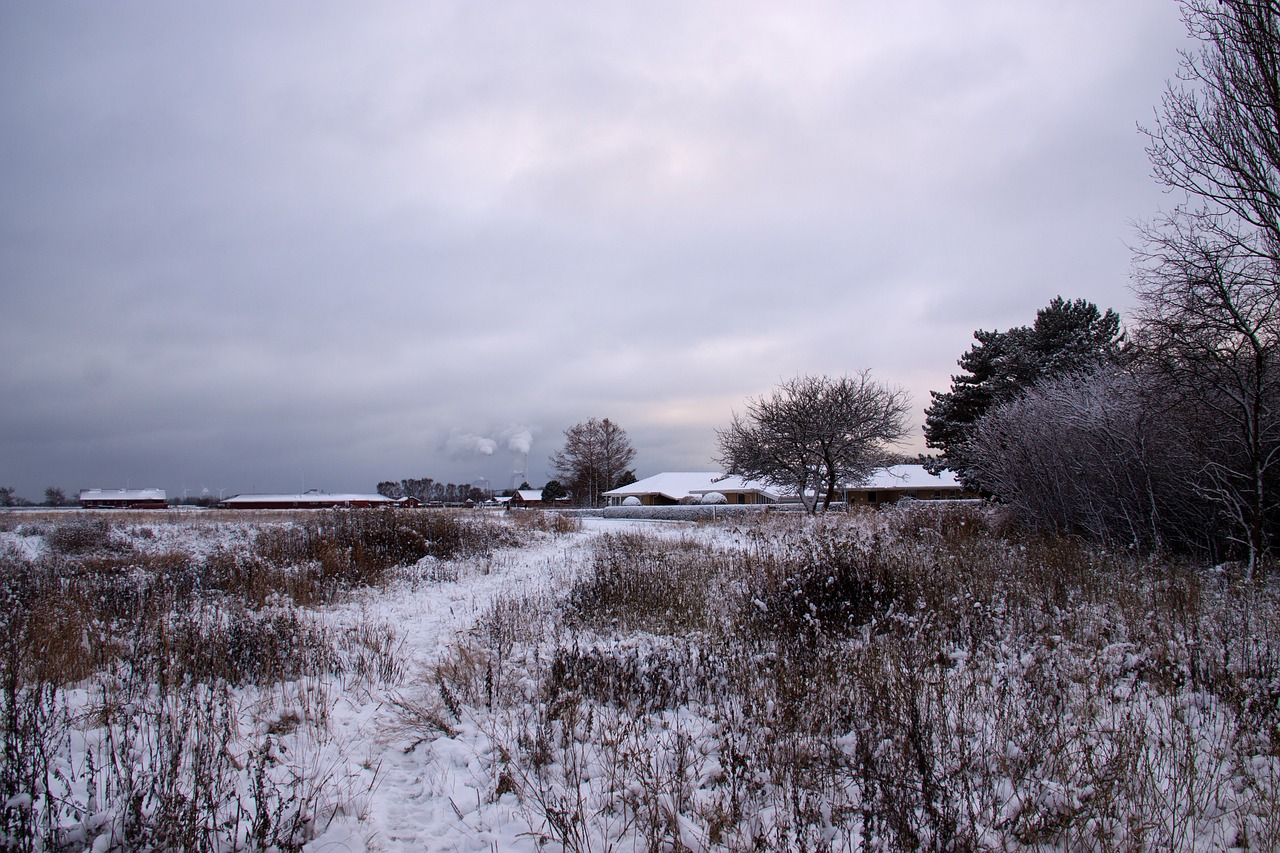 winter landscape snow winter free photo