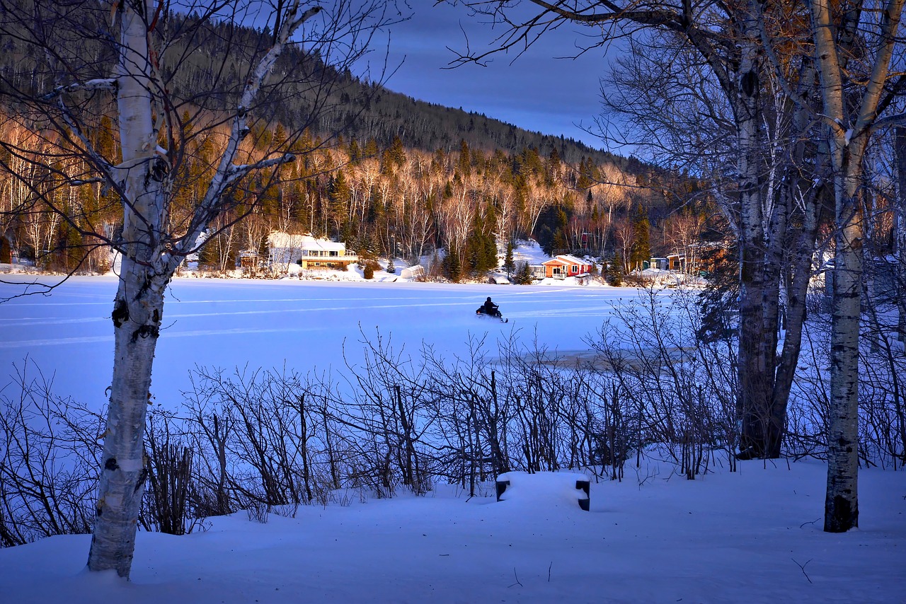 winter landscape nature snow free photo