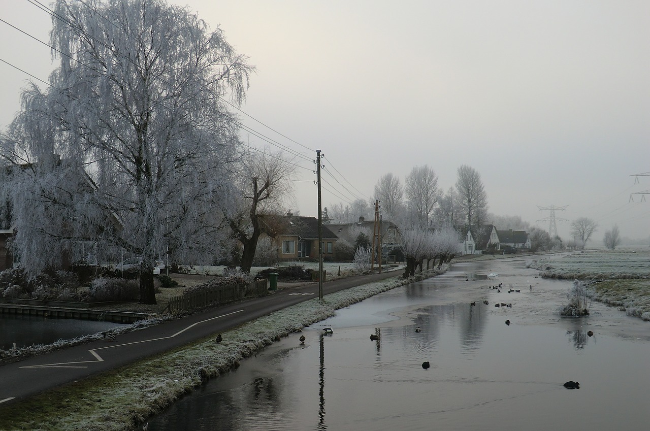 winter landscape  winter  polder free photo