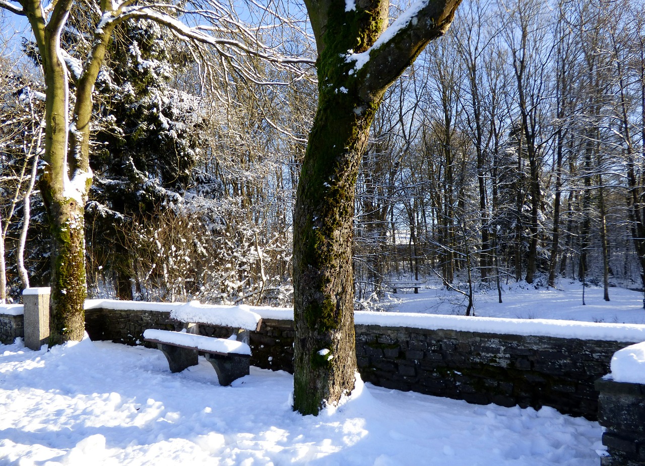 winter landscape snow besneeuw free photo