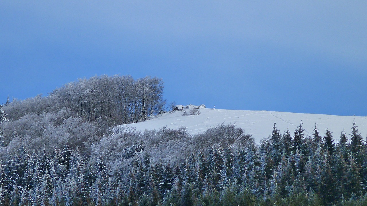 winter landscape nature mountain free photo