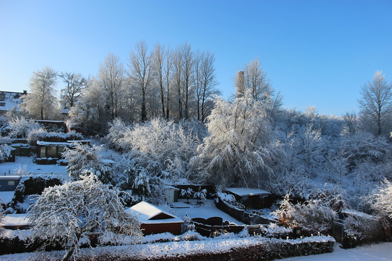 winter landscape snow blue sky free photo