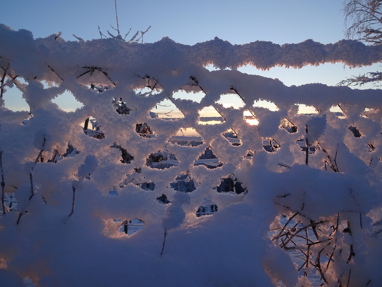 winter magic fence snow free photo