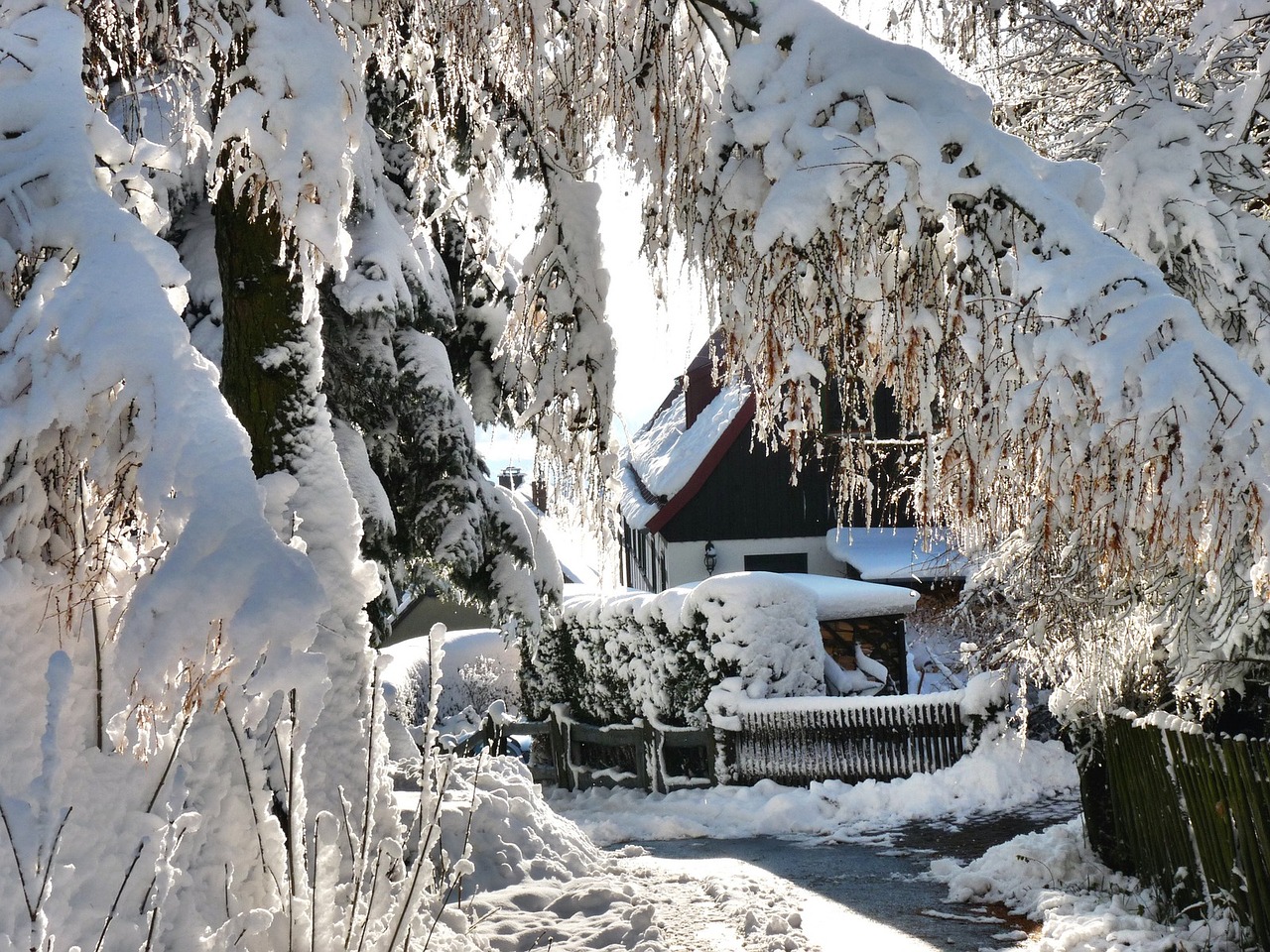 winter magic romantic snow free photo