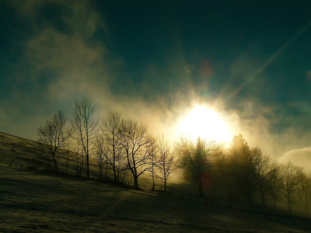 winter mood nature sun free photo