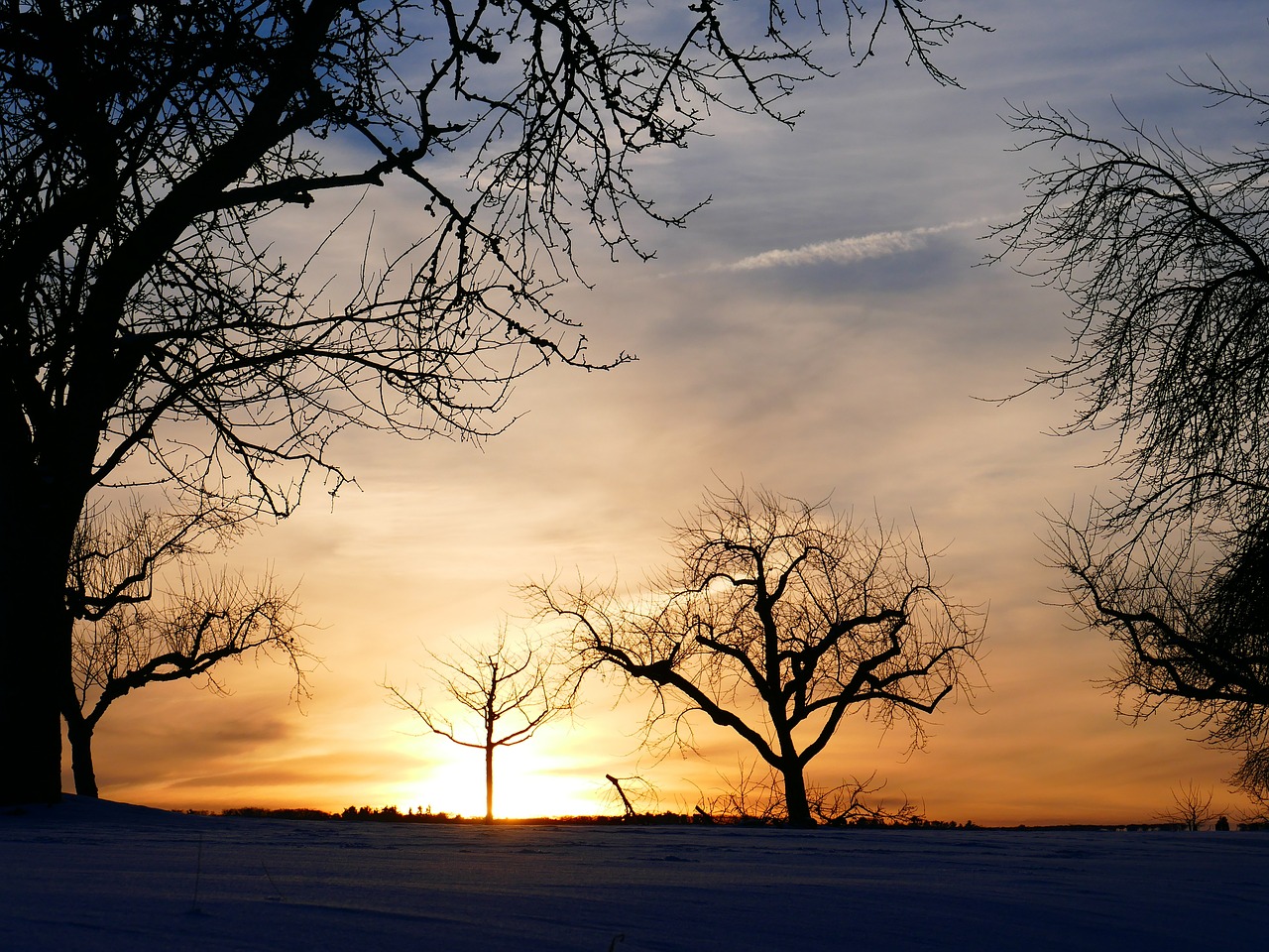 winter mood tree sunset free photo