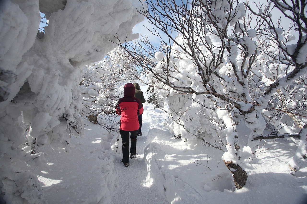 winter mountain halla jeju island free photo