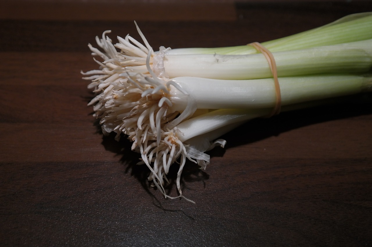 winter onion leek root free photo