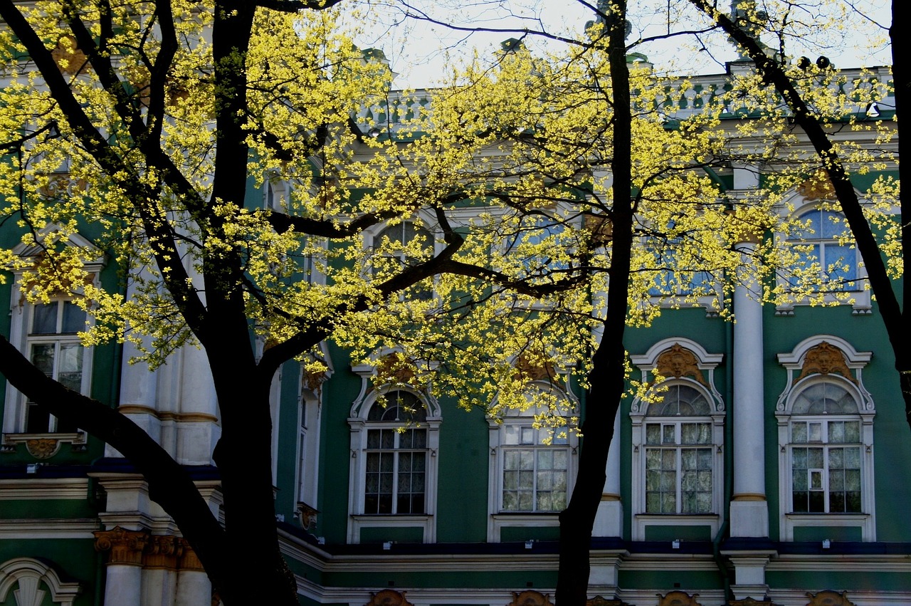 winter palace building historic free photo