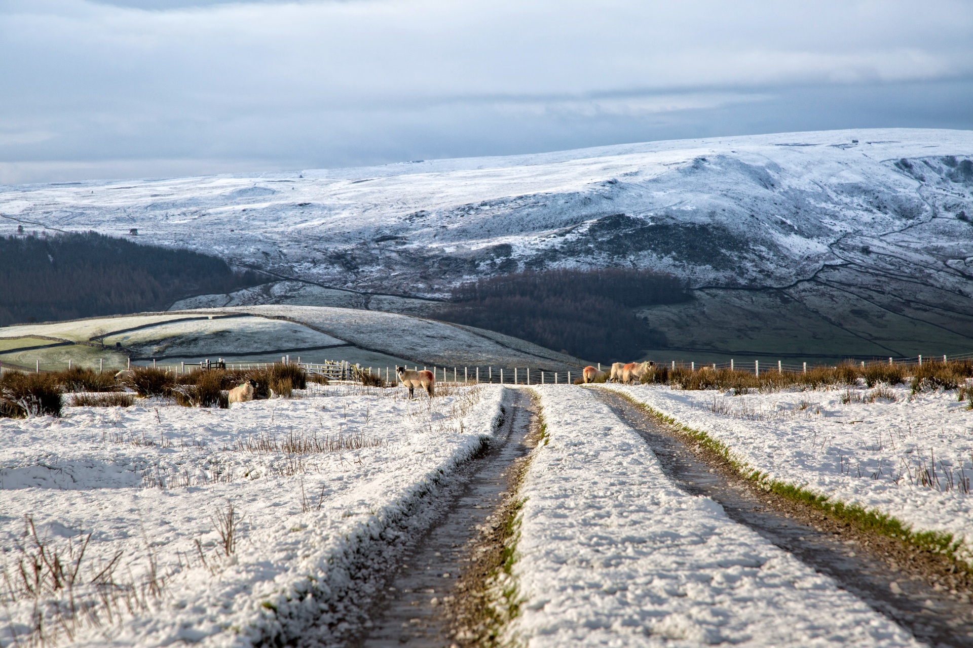 winter seasons poster free photo