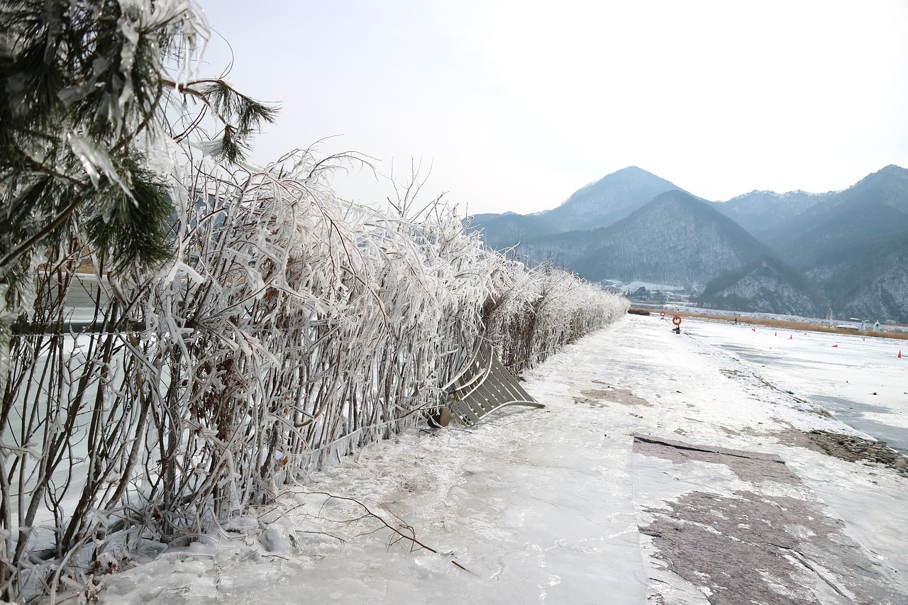 winter river  chaoyang steel free pictures free photo