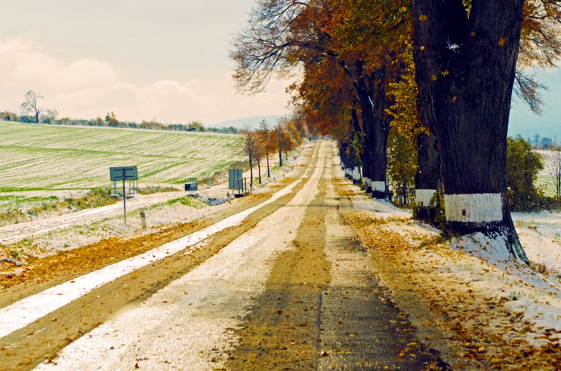 winter road seasons free photo