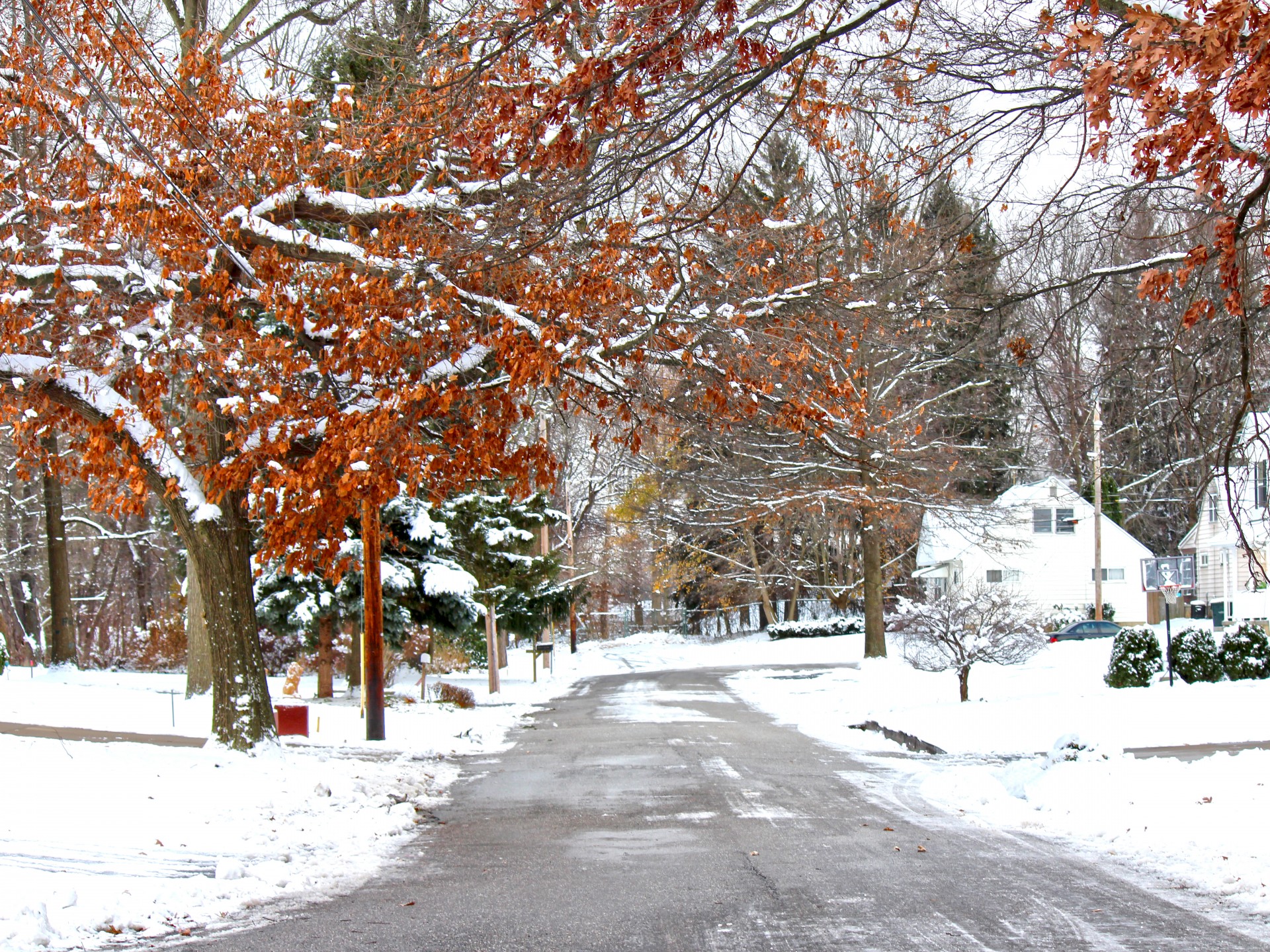 winter road winter snow free photo