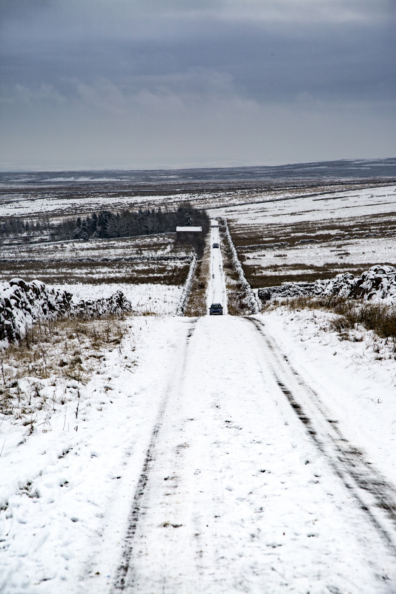 winter farm yorkshire free photo