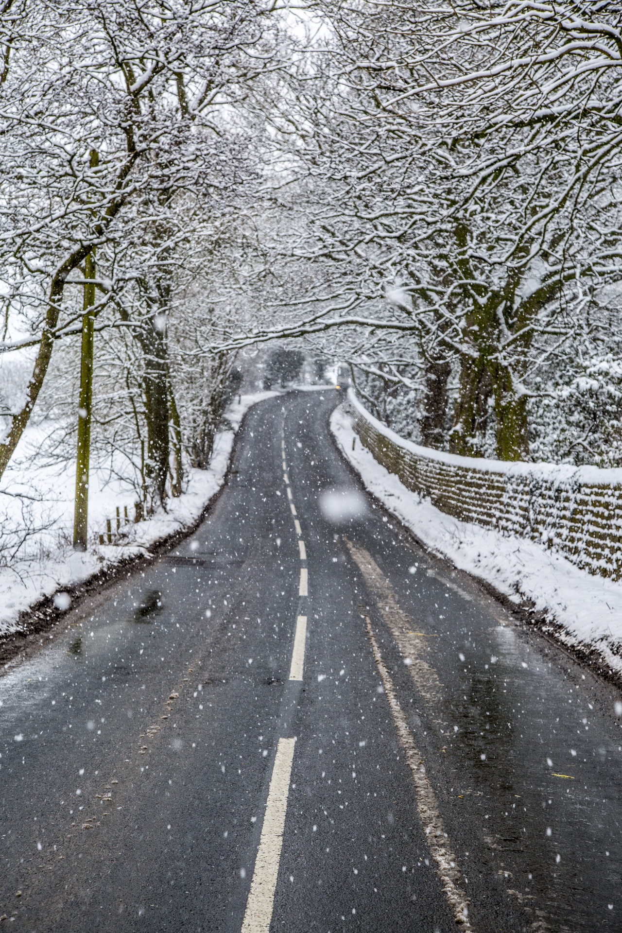 road snow winter free photo